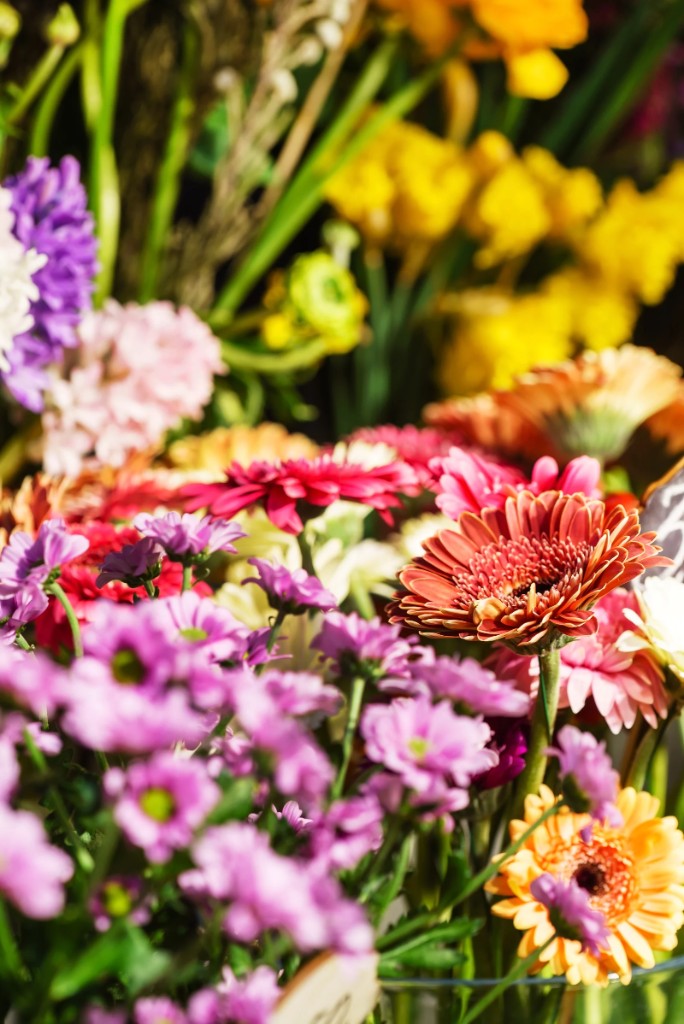 Purple, pink, yellow and orange cut flowers